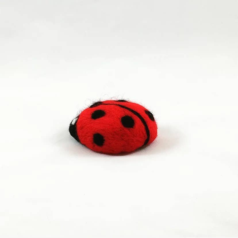 Ladybird - Needle Felting Kit: With Foam