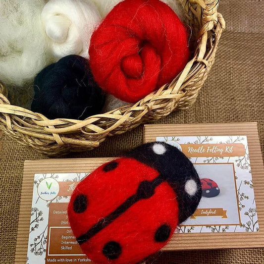 Ladybird - Needle Felting Kit: With Foam