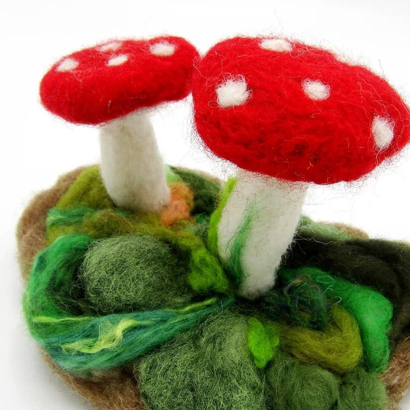 Toadstool - Needle Felting Kit: With Foam