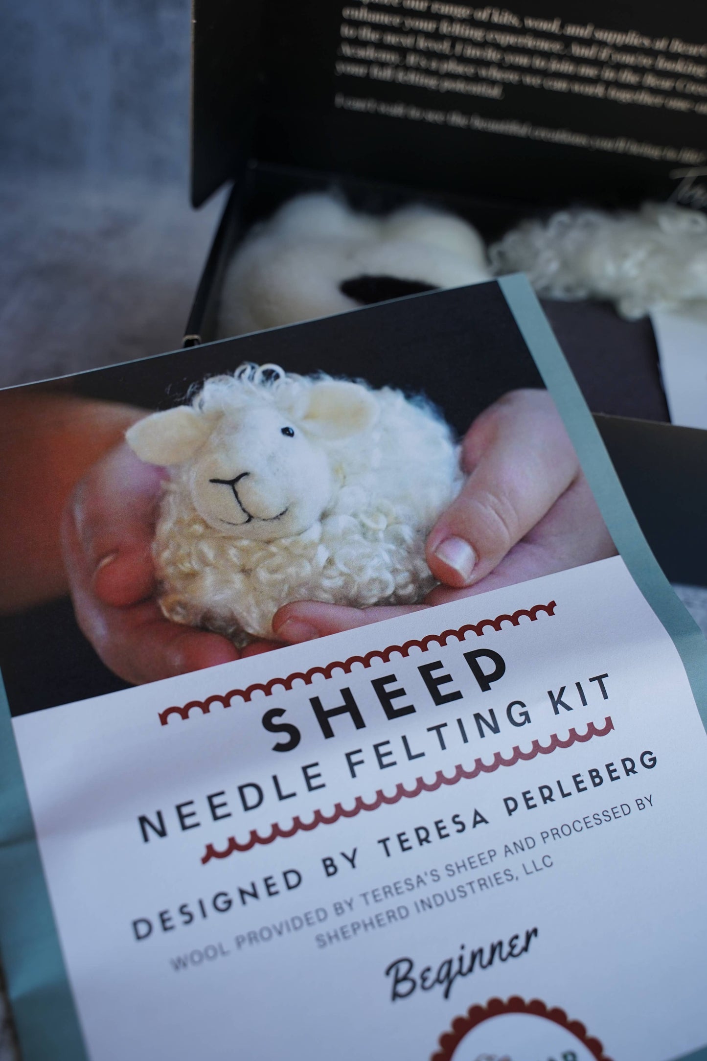 Sheep Needle Felting Kit: Foam Felting Cushion