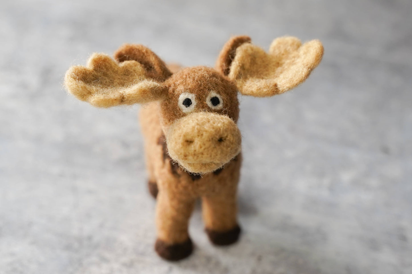 Moose Needle Felting Kit : Foam Felting Cushion