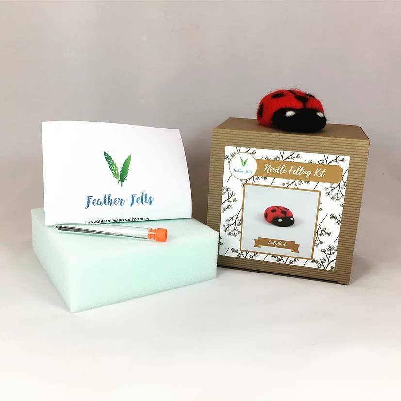 Ladybird - Needle Felting Kit: With Foam