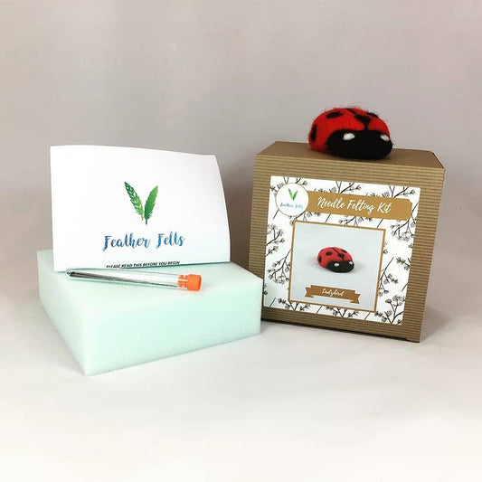 Ladybird - Needle Felting Kit: With Foam