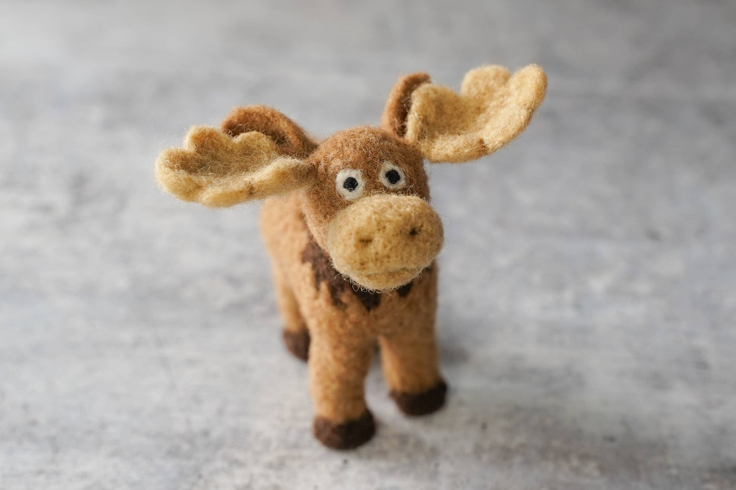 Moose Needle Felting Kit : Foam Felting Cushion