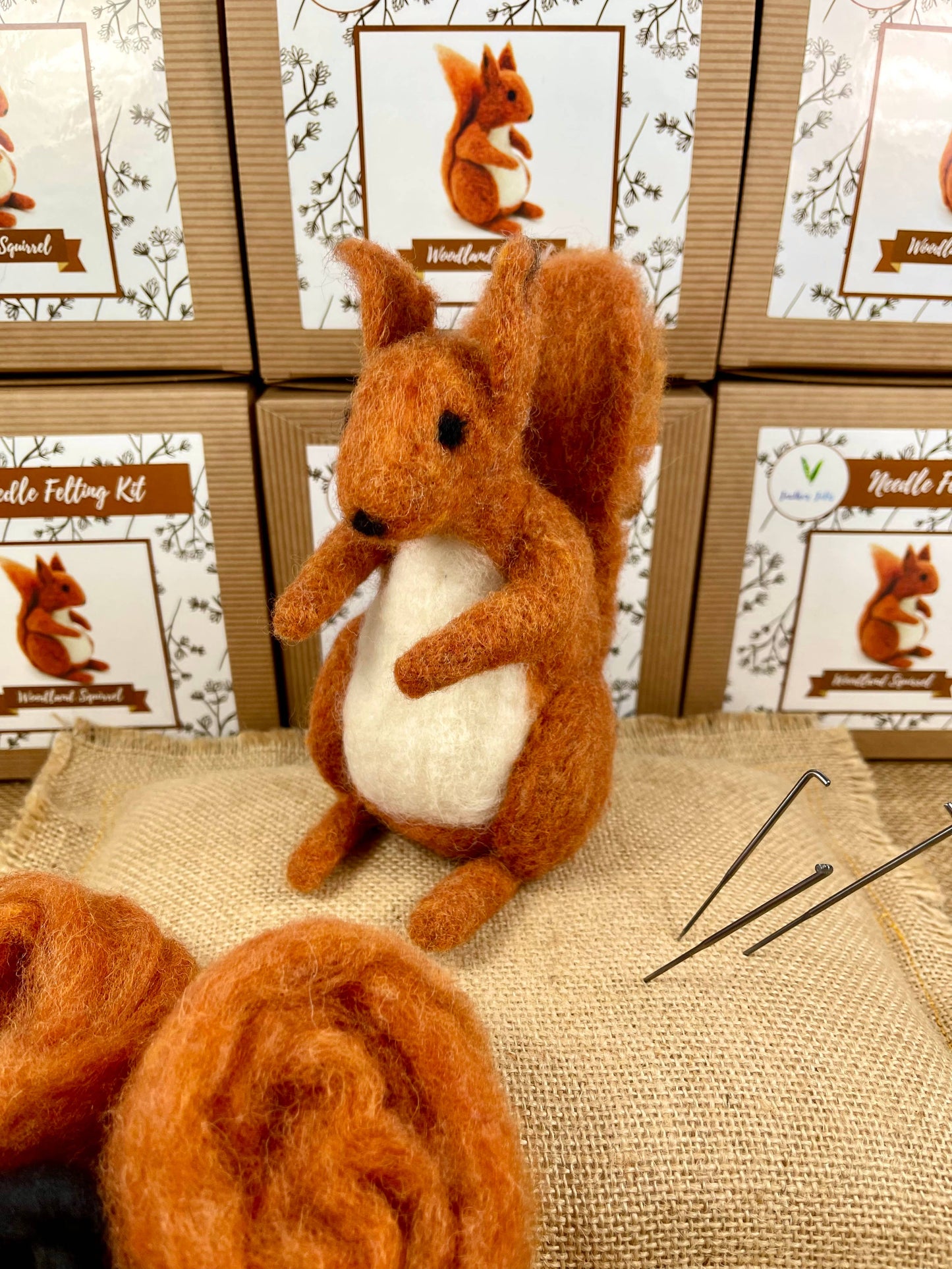 Woodland Squirrel - Needle Felting Kit: With Foam