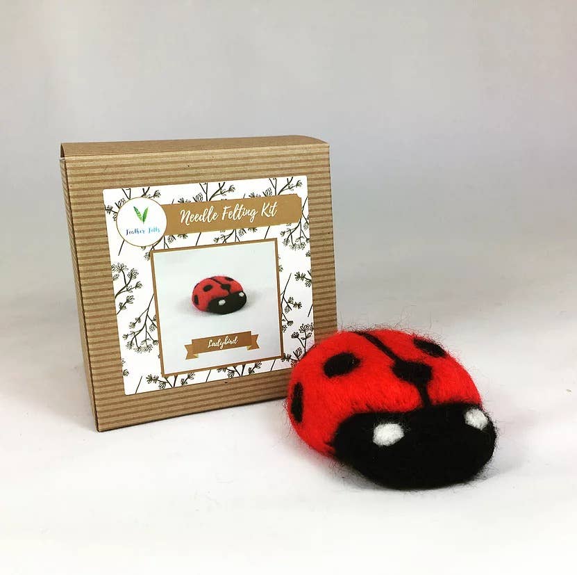 Ladybird - Needle Felting Kit: With Foam