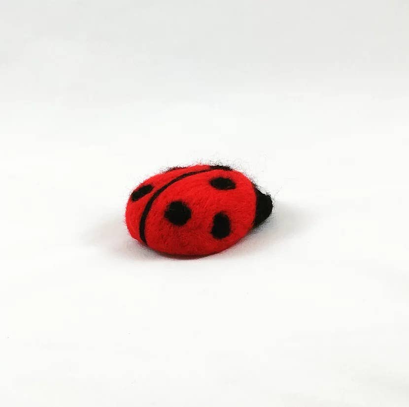 Ladybird - Needle Felting Kit: With Foam